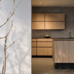 Cocina moderna con gabinetes de madera y vista a patio interior con árbol y piedras blancas. Diseño por MMS Arquitectos en Estado de México y Ciudad de México