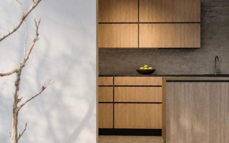 Cocina moderna con gabinetes de madera y vista a patio interior con árbol y piedras blancas. Diseño por MMS Arquitectos en Estado de México y Ciudad de México